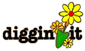 Diggin' It Logo