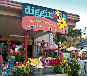 Diggin' It seen from Tennessee street